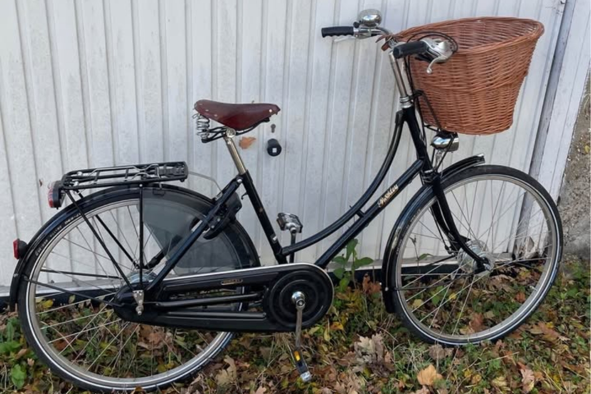pashley-sovereign-girlonabrompton